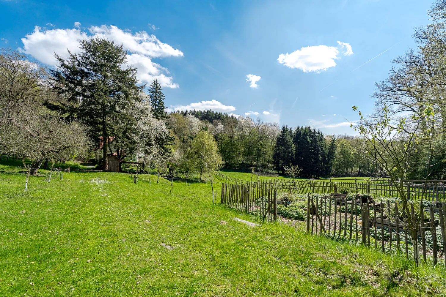 Seitliche Gartenansicht