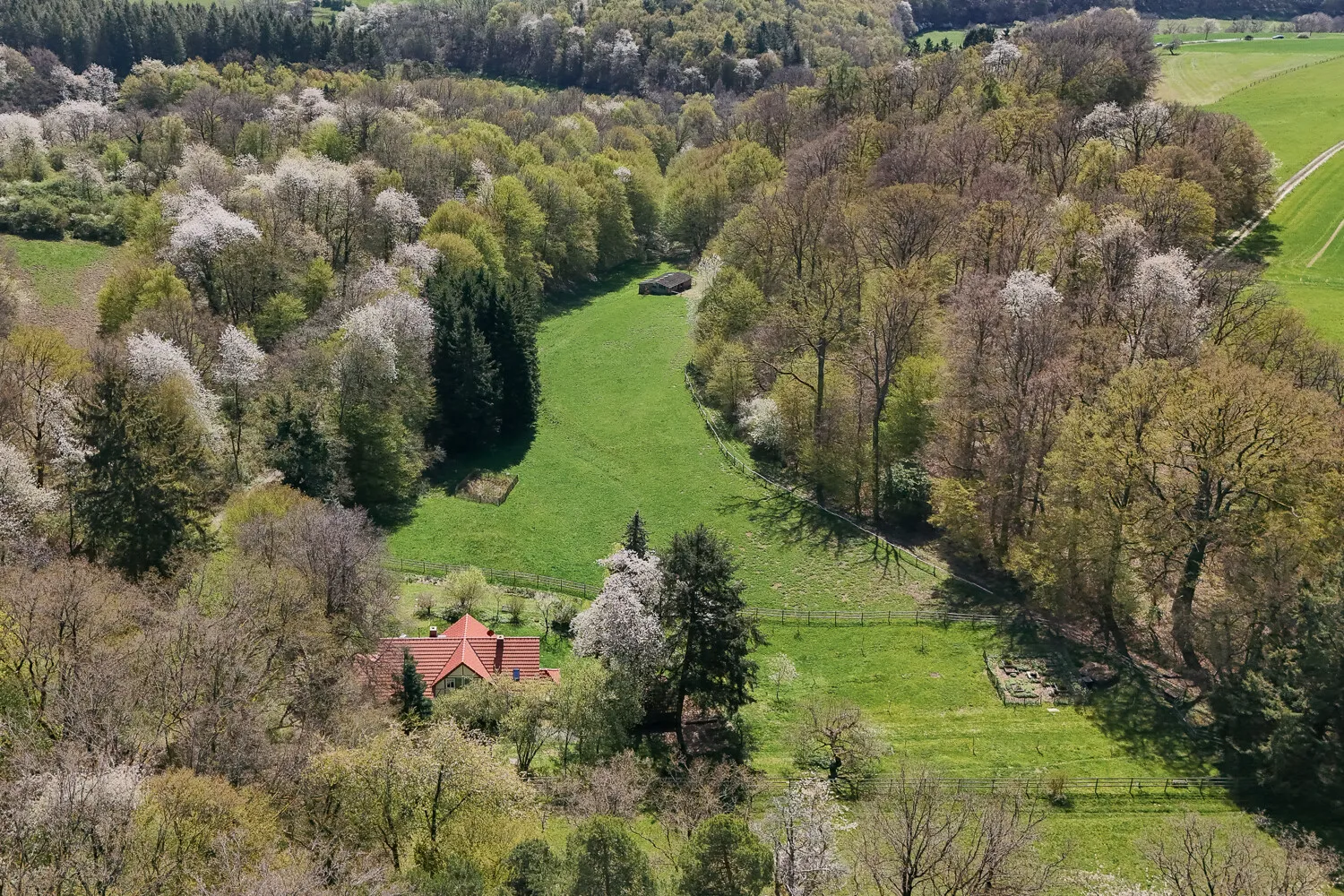 Großzügiges Areal