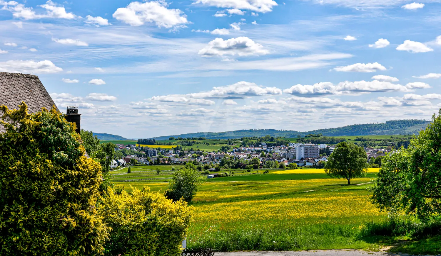 Naturkulisse am Feldrand