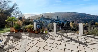 von_poll_real_estate_property_25141059_image_11