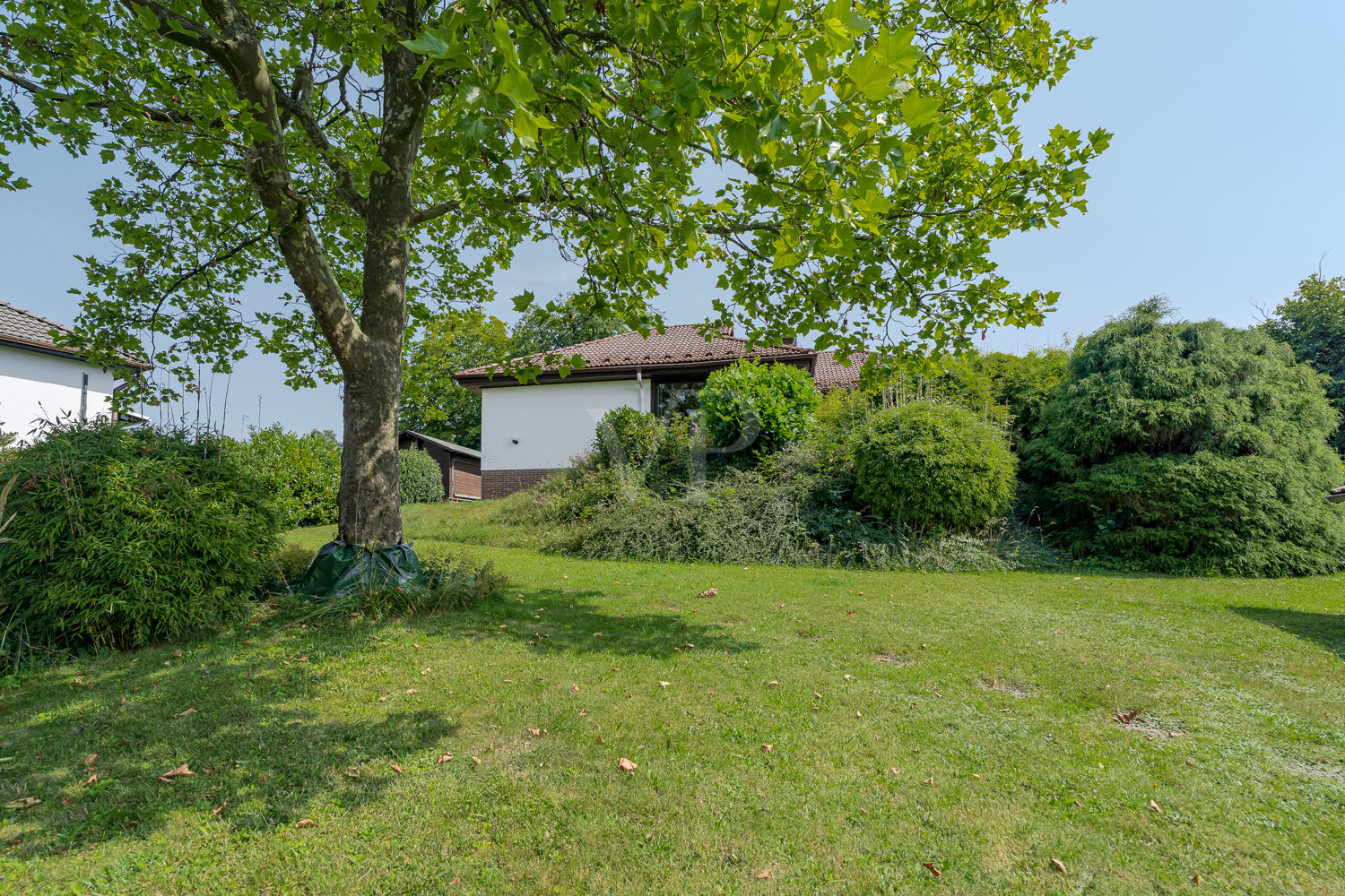 Liebevoll angelegter Garten