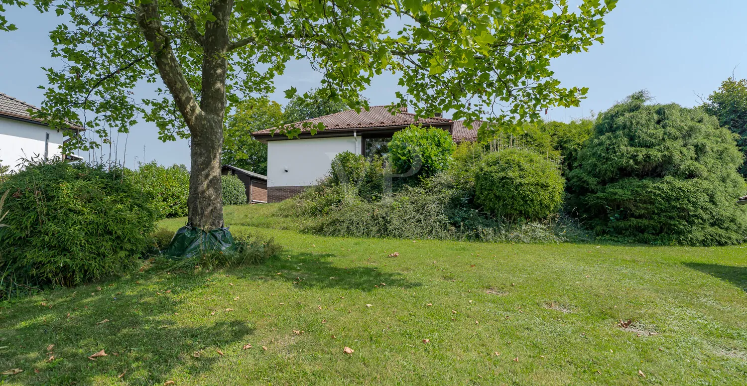 Liebevoll angelegter Garten