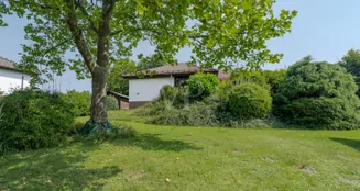 von_poll_real_estate_property_25141045a_image_20