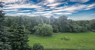 von_poll_real_estate_property_25141047_image_5