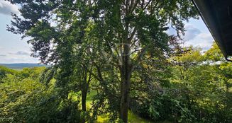 von_poll_real_estate_property_25141043_image_9