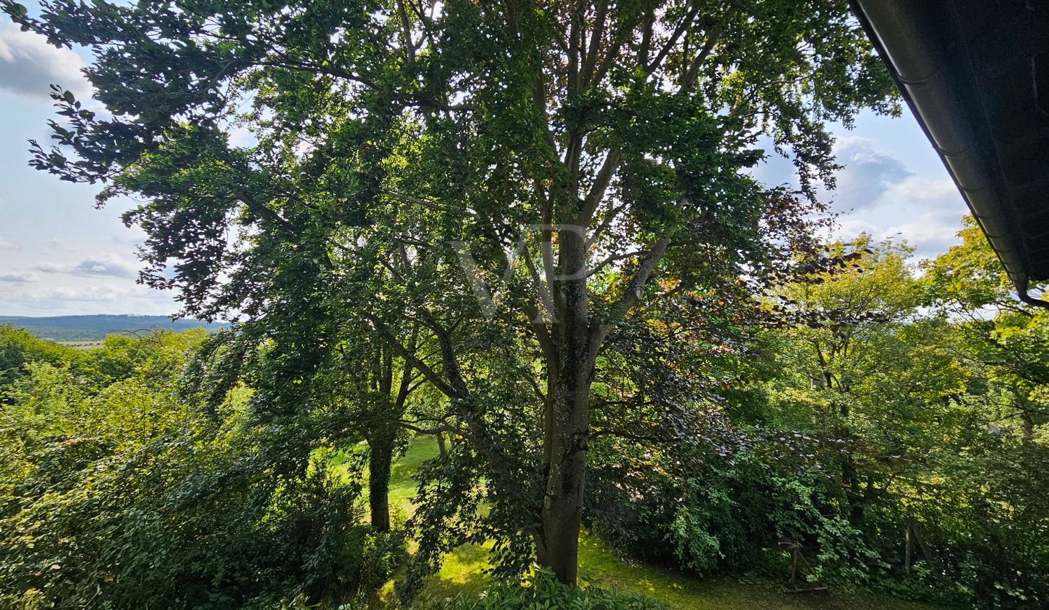 Natur pur!