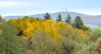 von_poll_real_estate_property_25141060b_image_3