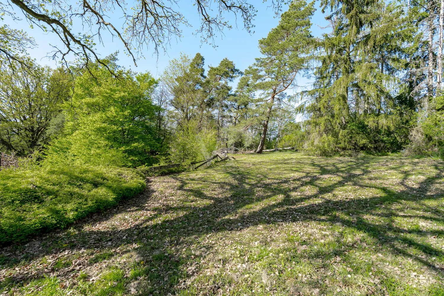 obere Gartenfläche