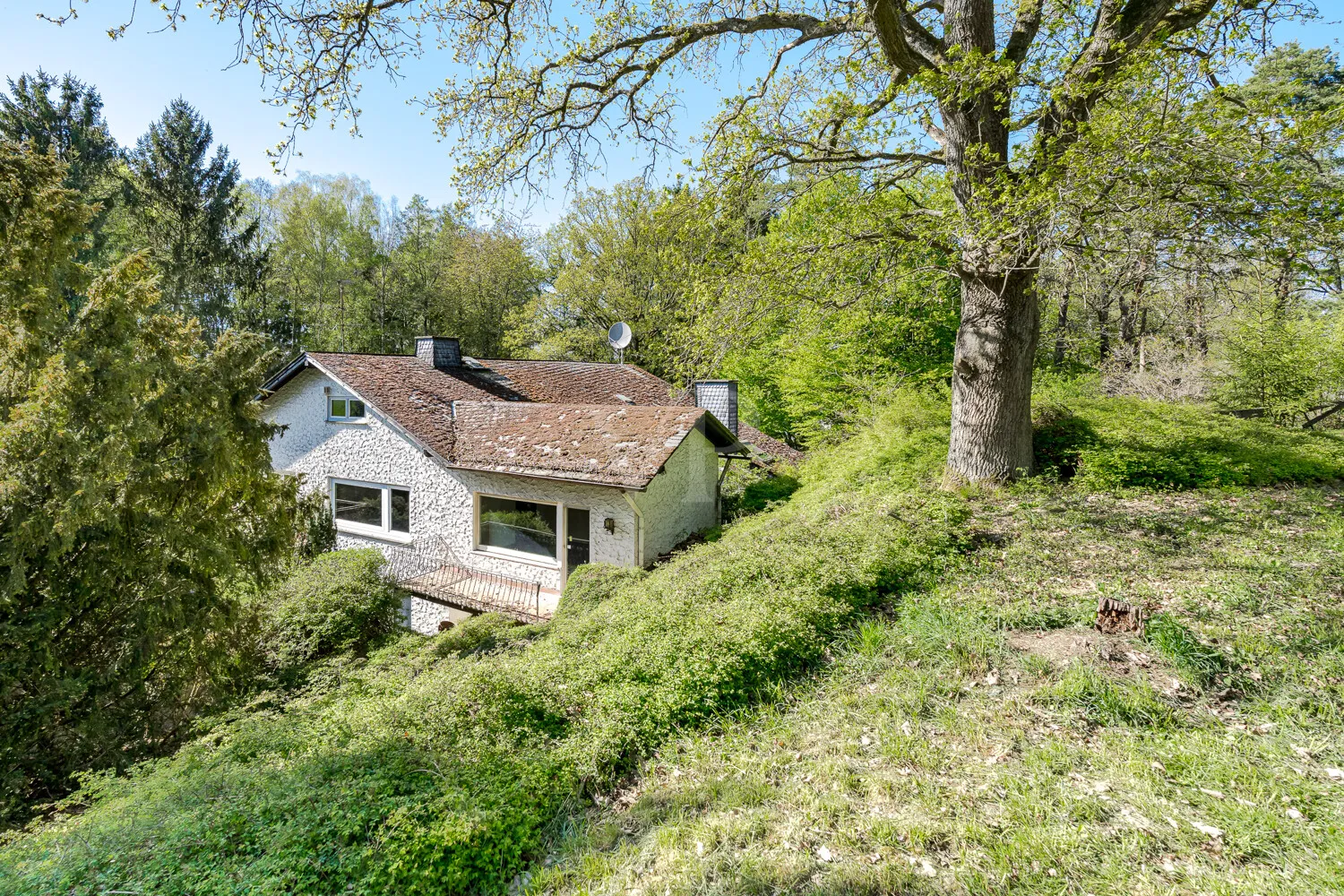 Blick von der oberen Gartenfläche