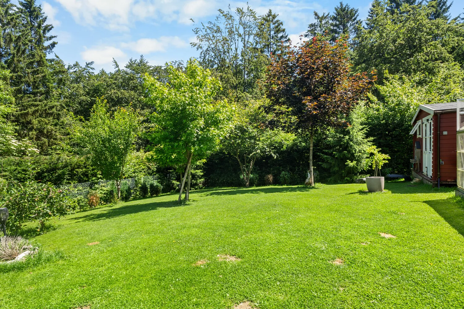 Der wunderschöne Garten