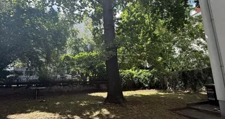 von_poll_real_estate_property_25158002_image_5