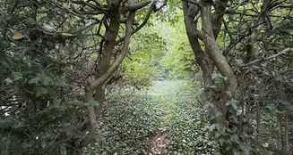 von_poll_real_estate_property_25158003_image_5