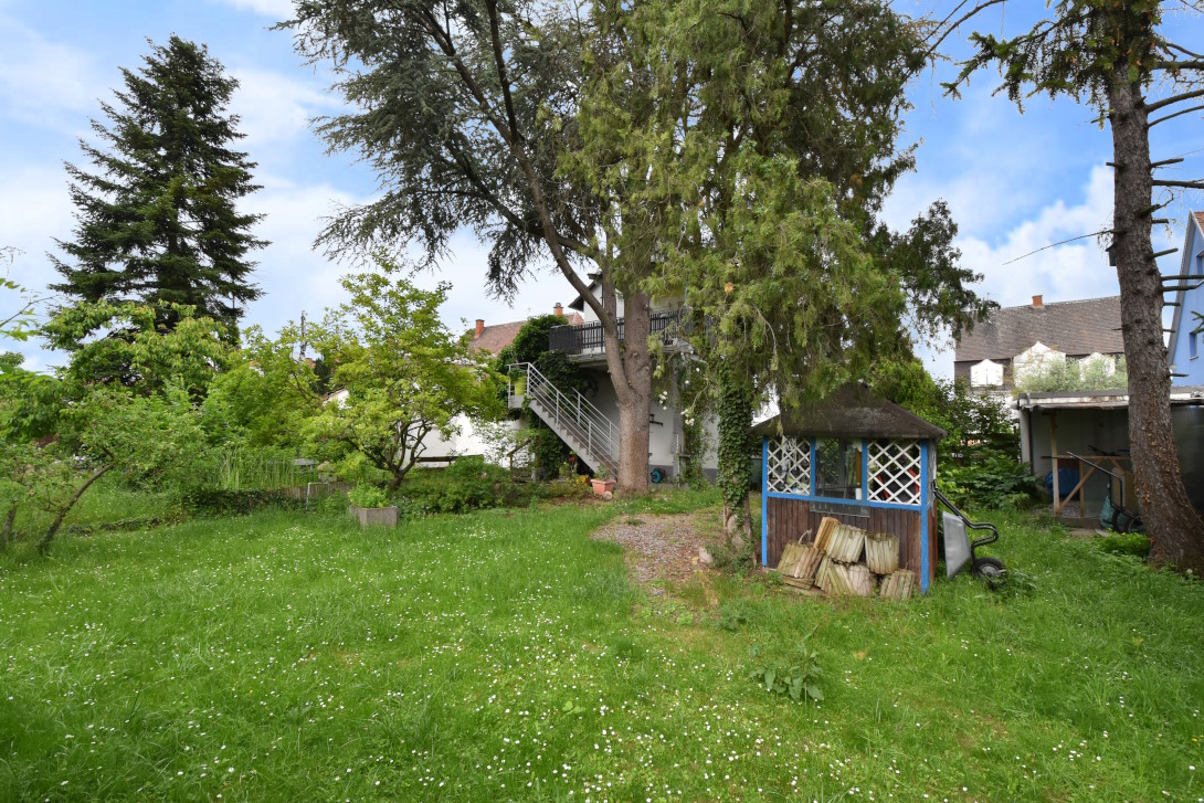 Garten Blick aufs Gebäude