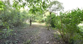 von_poll_real_estate_property_25130034_dp_image_3