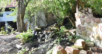 von_poll_real_estate_property_25130034_dp_image_7