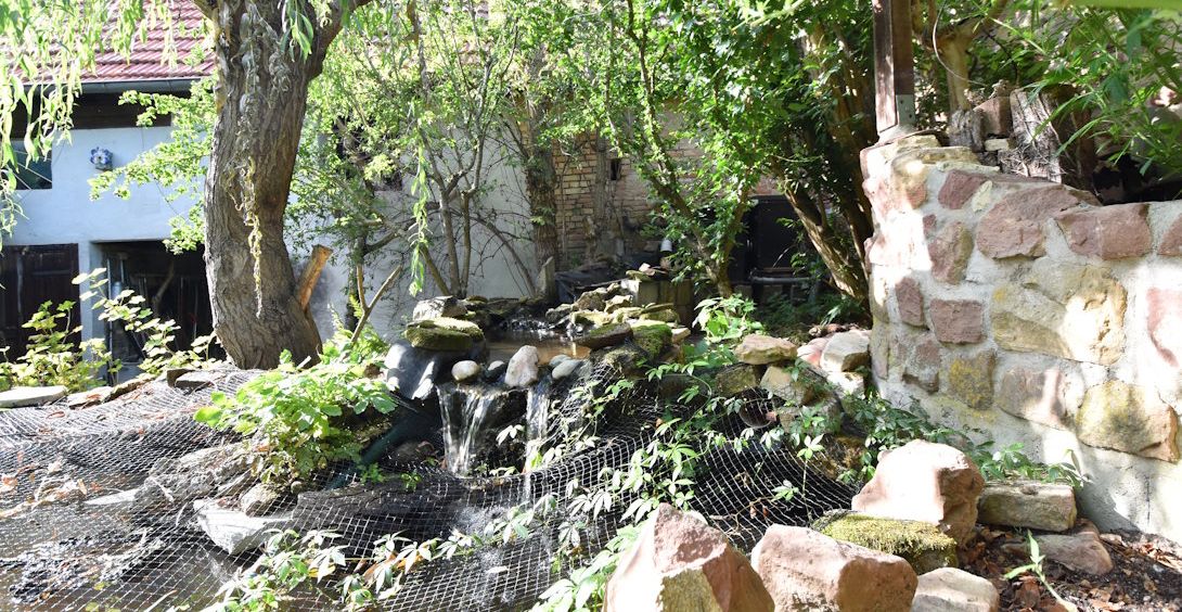 Teich