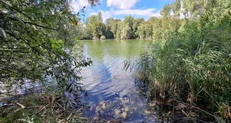 von_poll_real_estate_property_25130033_sl_image_5