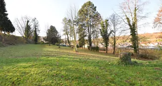 von_poll_real_estate_property_25130040_dp_image_5