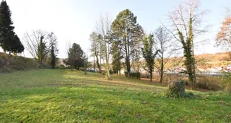 von_poll_real_estate_property_25130040_dp_image_6