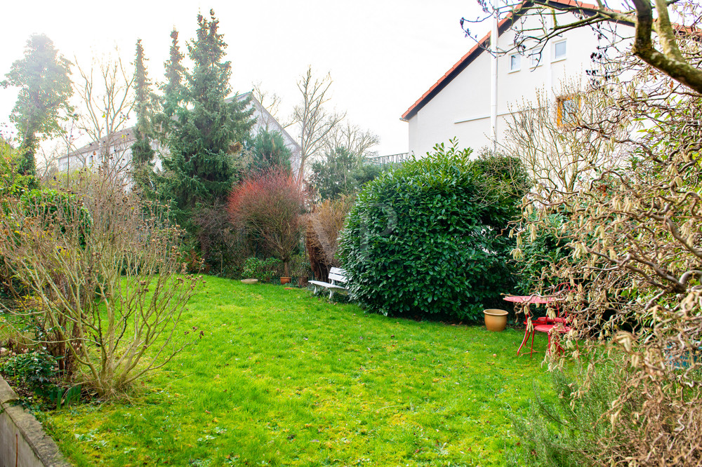 Ausschnitt Garten