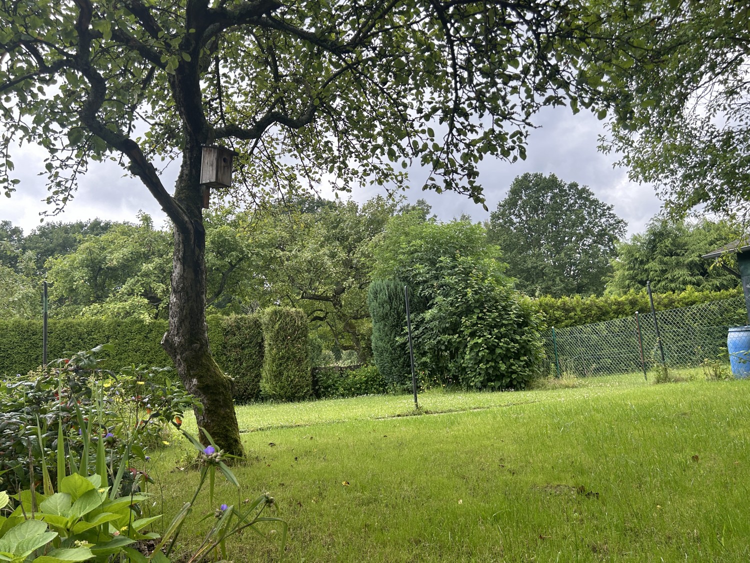 Blick Garten