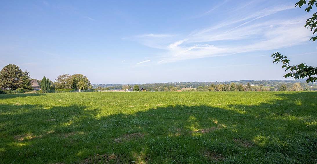 Weitblick