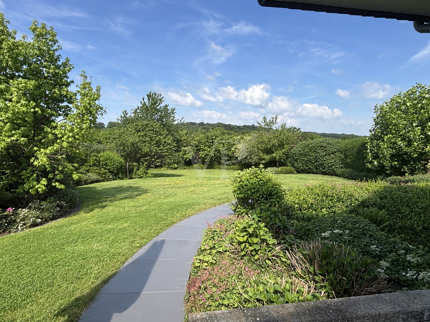 Ausschnitt Garten