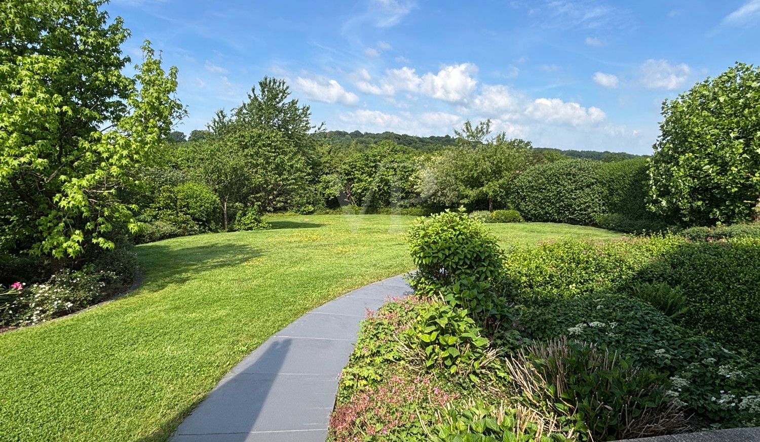 Ausschnitt Garten