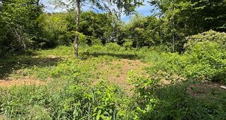 von_poll_real_estate_property_25066016_image_1