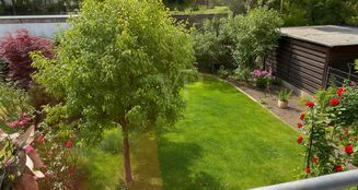 von_poll_real_estate_property_25066021_image_15