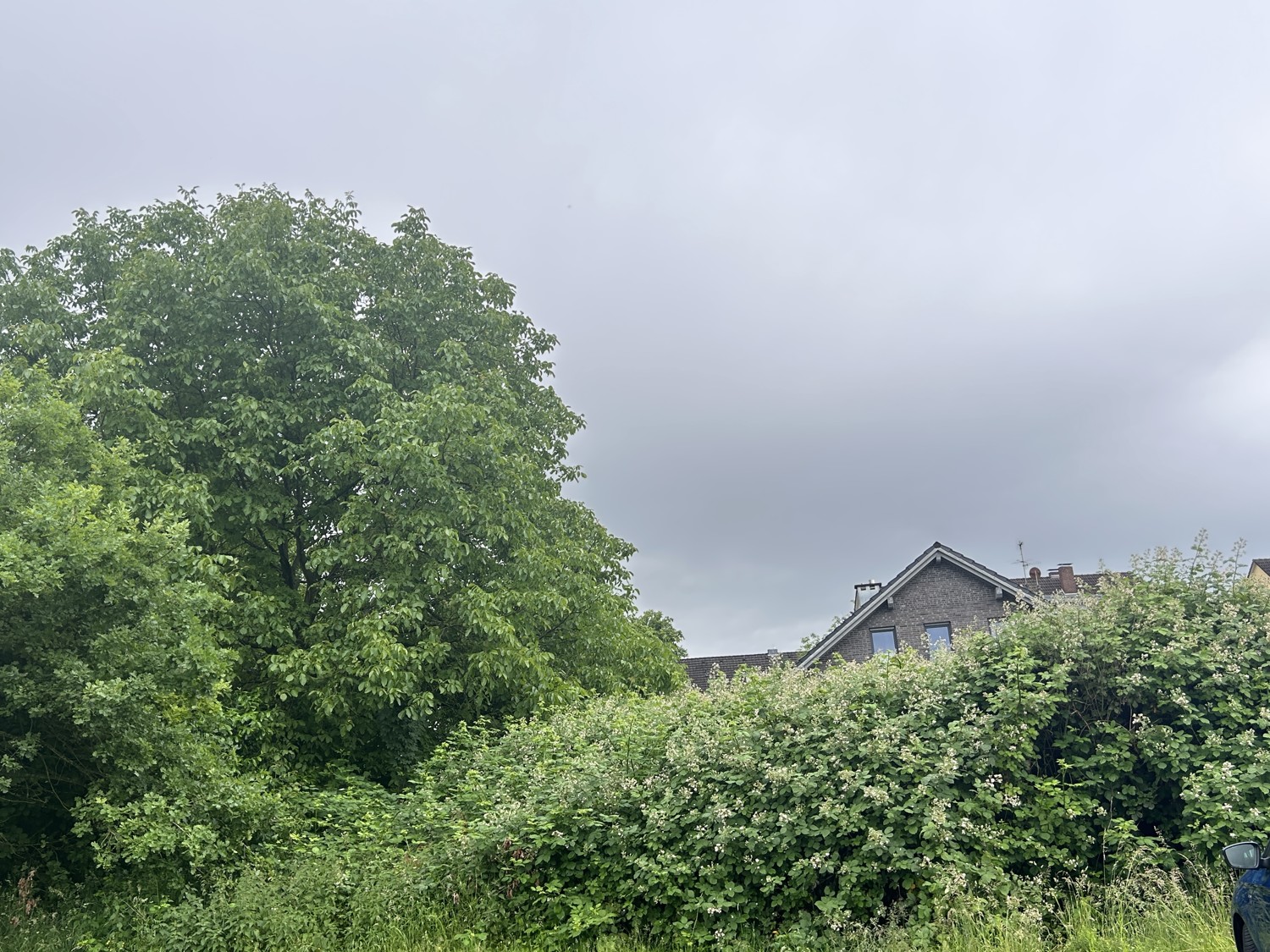 Seitenansicht