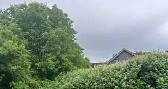 von_poll_real_estate_property_25066029_image_2