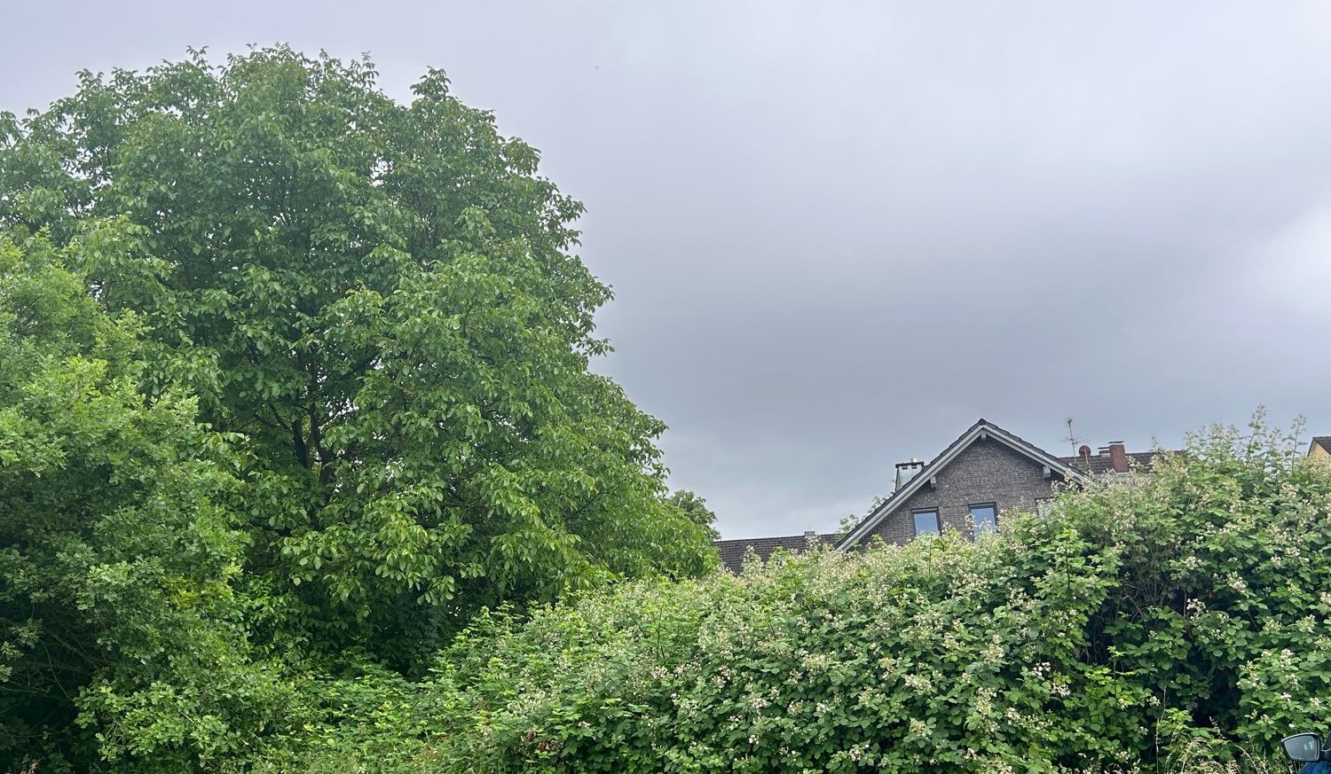 Seitenansicht