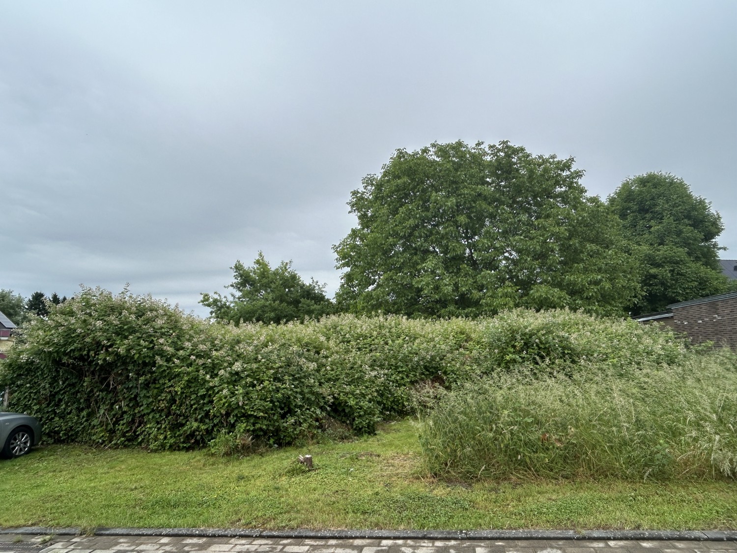 Straßenansicht