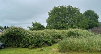 von_poll_real_estate_property_25066029_image_1