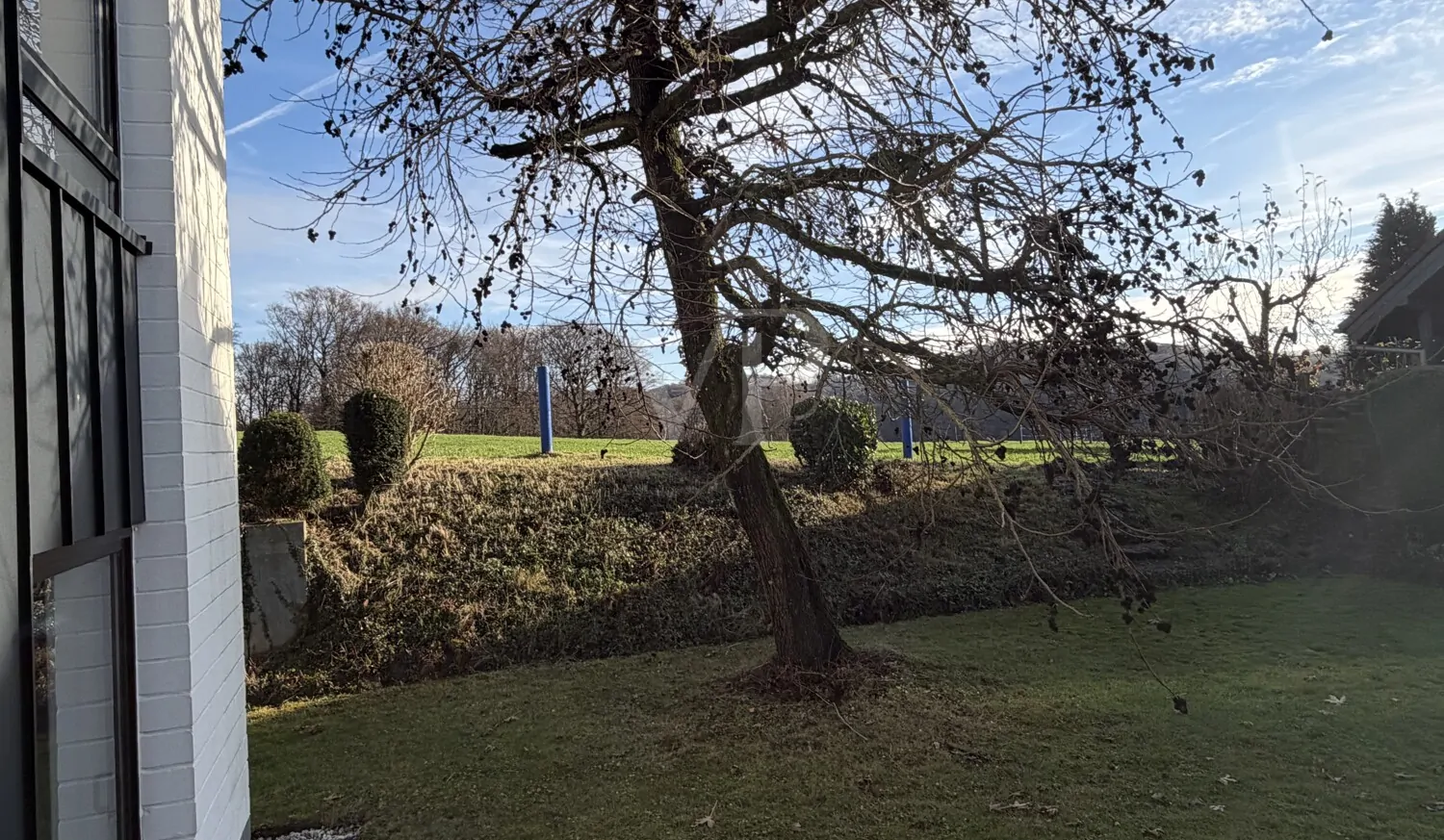 Blick Richtung Landwirtschaft-Grünland