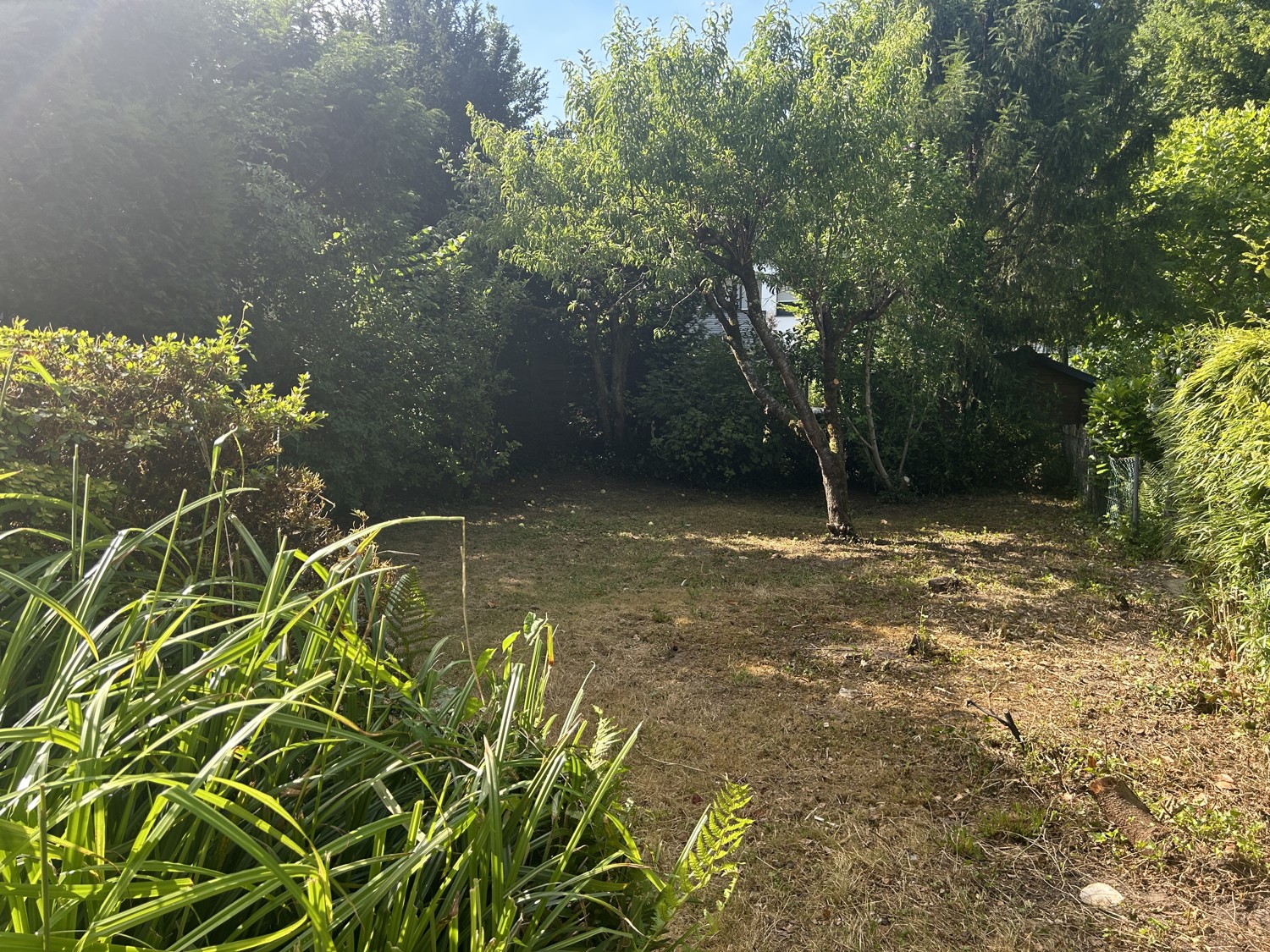 Blick Garten