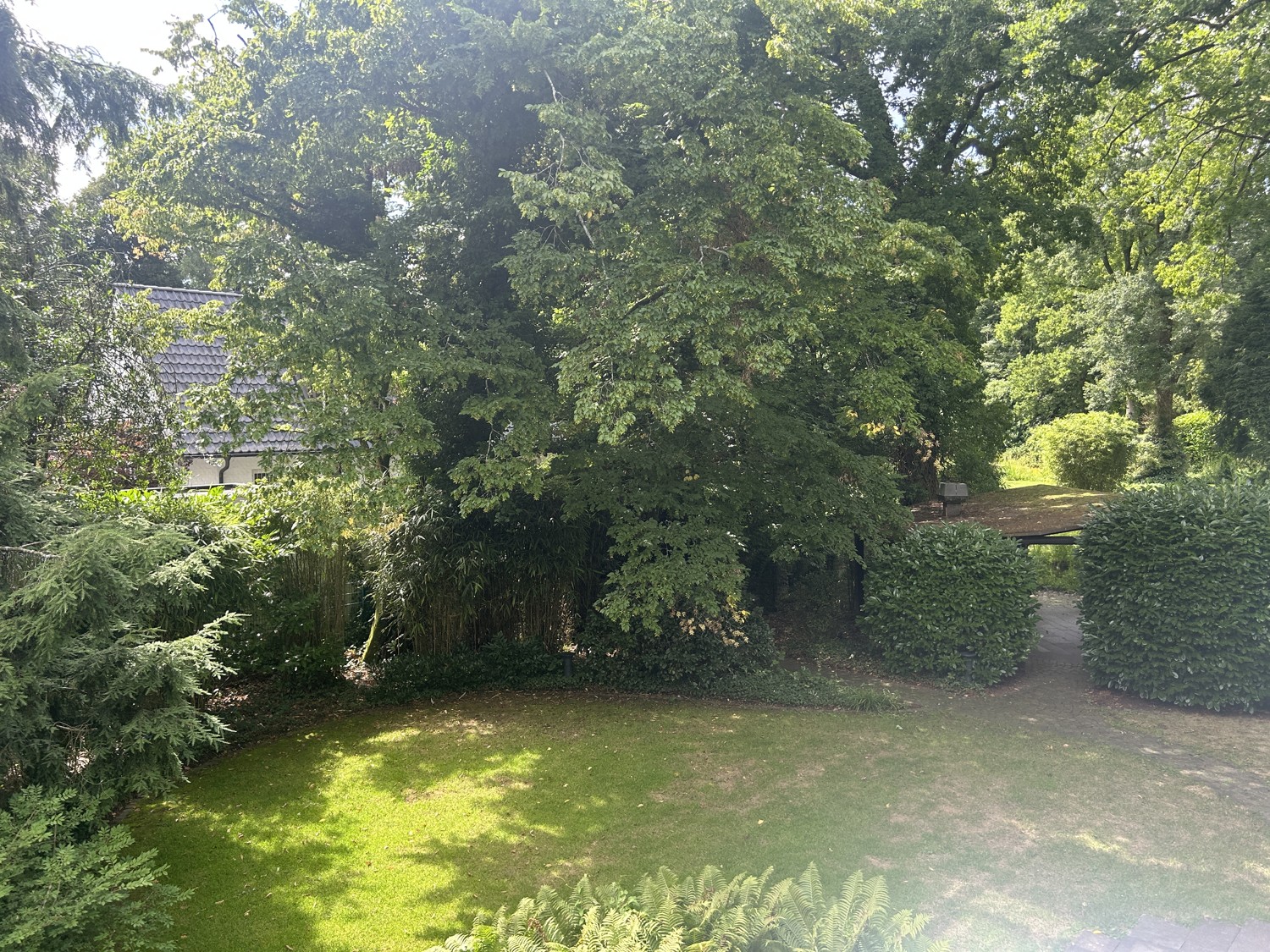 Blick vom Balkon