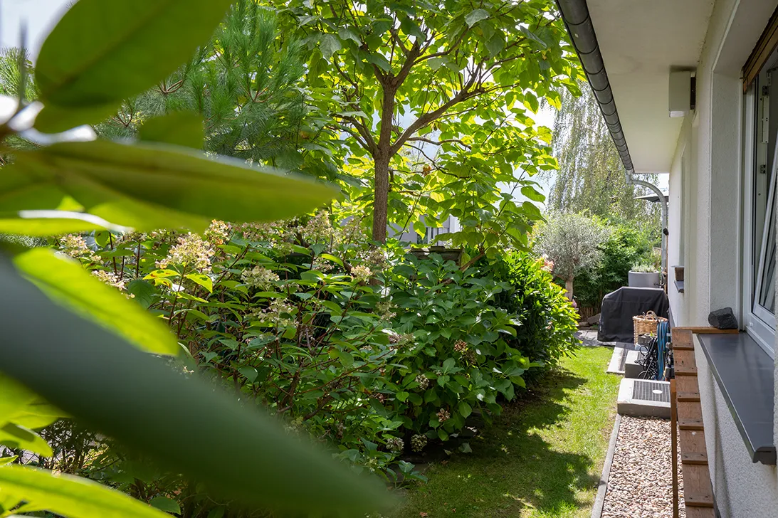 Seitenansicht Garten