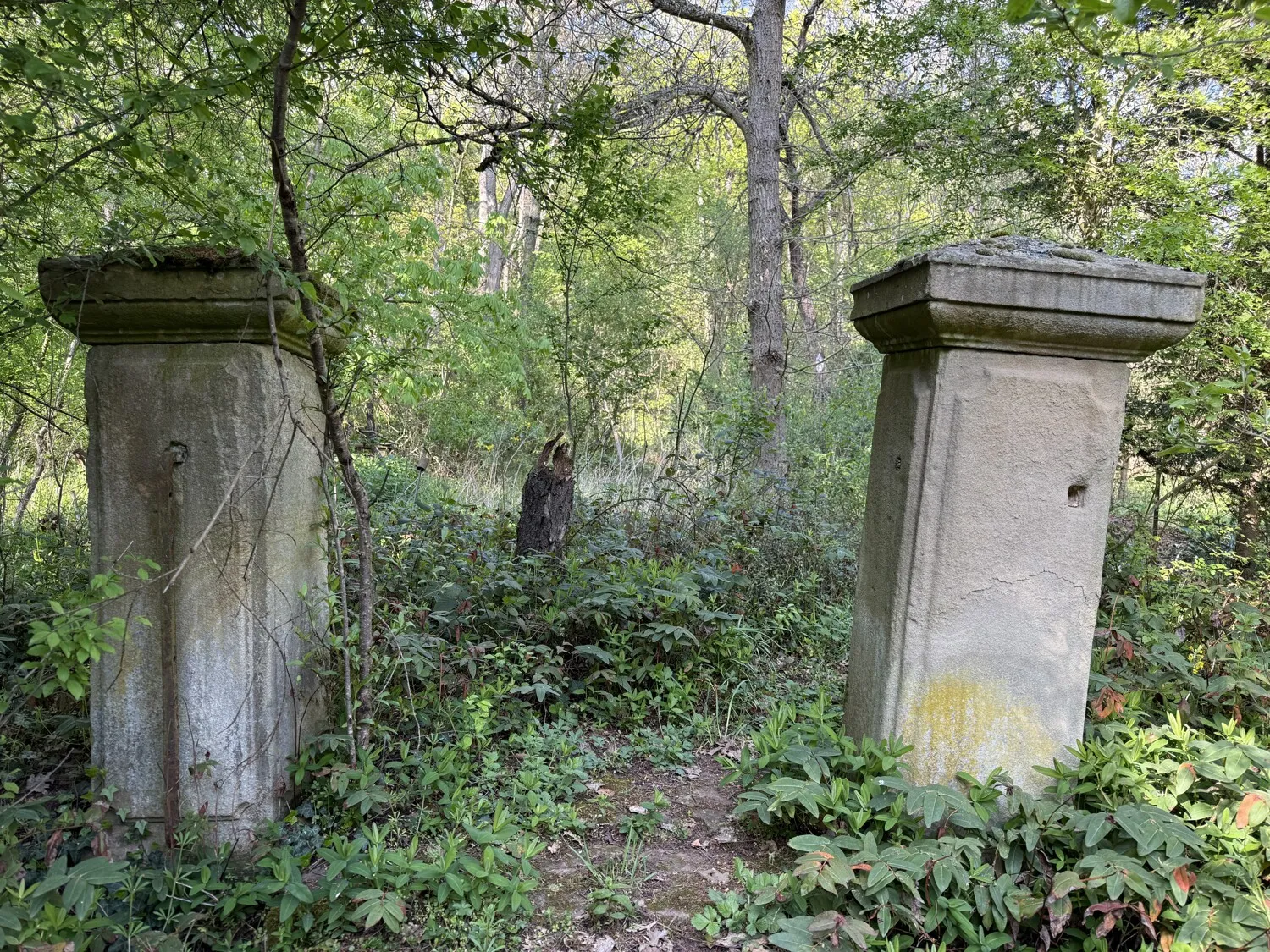 Zugang zum Garten