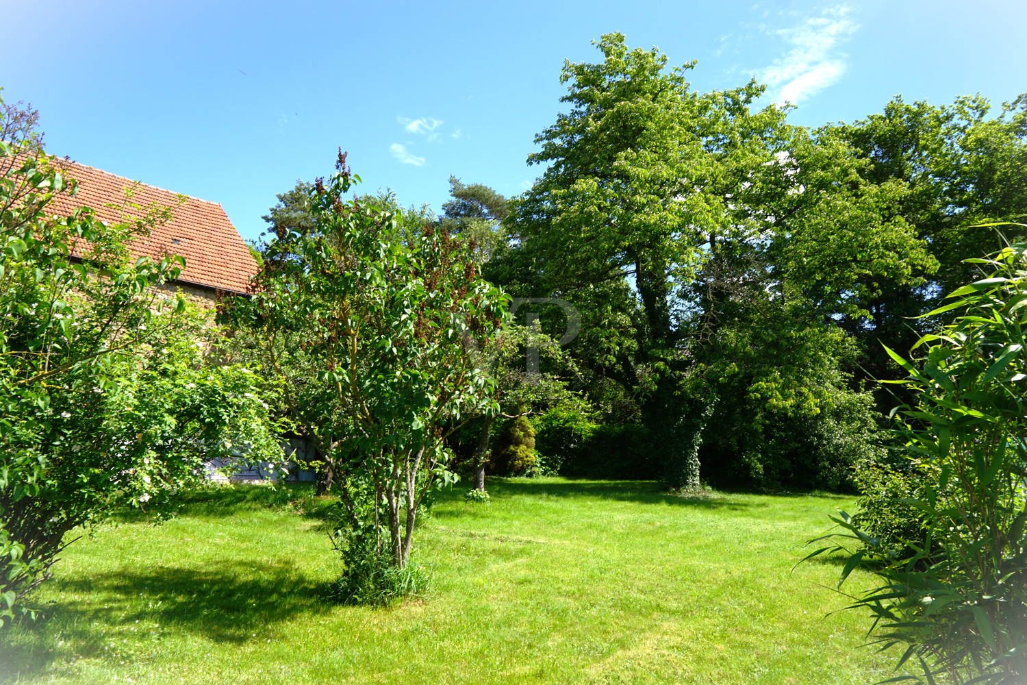 Sonniger Garten mit altem Baumbestand