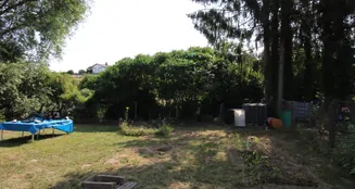 von_poll_real_estate_property_25416013_image_14