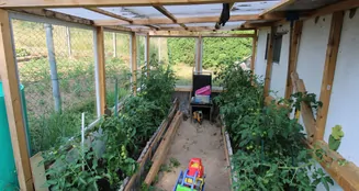 von_poll_real_estate_property_25416013_image_11