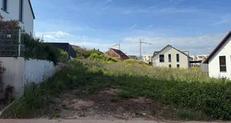 von_poll_real_estate_property_24416022_image_4