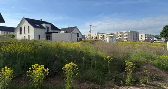 von_poll_real_estate_property_24416022_image_2