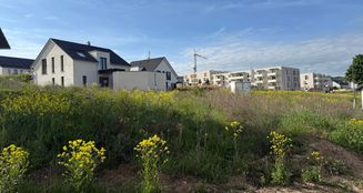 von_poll_real_estate_property_24416022_image_2