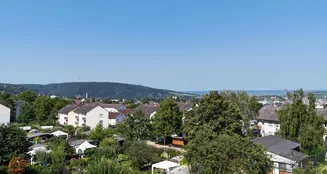 von_poll_real_estate_property_25416016_image_0