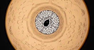 von_poll_real_estate_property_25416017_image_17