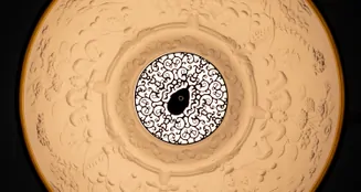 von_poll_real_estate_property_25416017_image_18