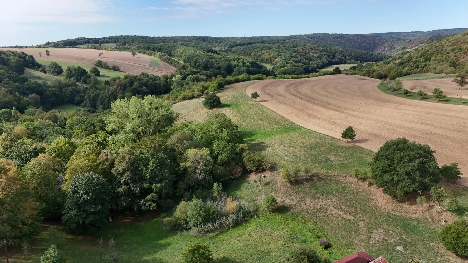 Weitblick über Felder, Wälder und die Landschaft des Nahelandes